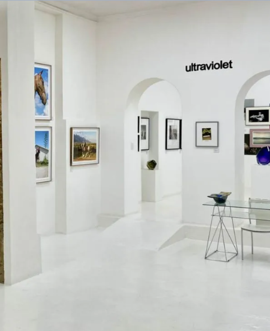 Ultraviolet Gallery
